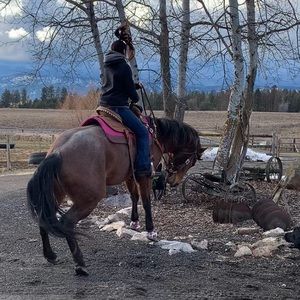 Meet your Posher, Savannah